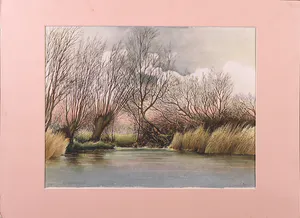 Jan de Bruin - Aquarel, Najaar in de Biesbosch kopen? Bied vanaf 1!