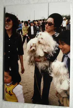 Henk Schiffmacher - Gesigneerde foto op dibond “Vrouw met Honden” + gesigneerd fotoboek kopen? Bied vanaf 150!