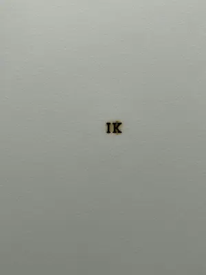 Jan van Munster - UITGAVE MET PYROGRAFIEËN. kopen? Bied vanaf 150!