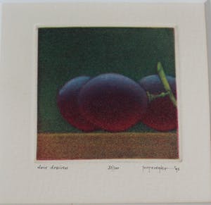 Joop Vegter - Ingelijste ets: Drie druiven - 1995 kopen? Bied vanaf 100!