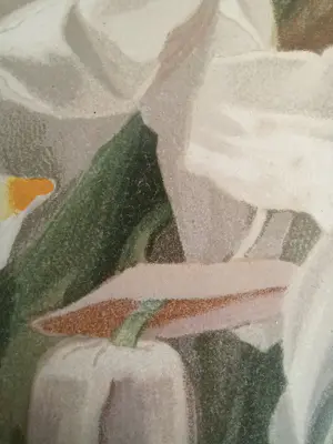 Henry George Moon - Originele Chromolithografie ‘Reichenbachia’ 1888 kopen? Bied vanaf 85!