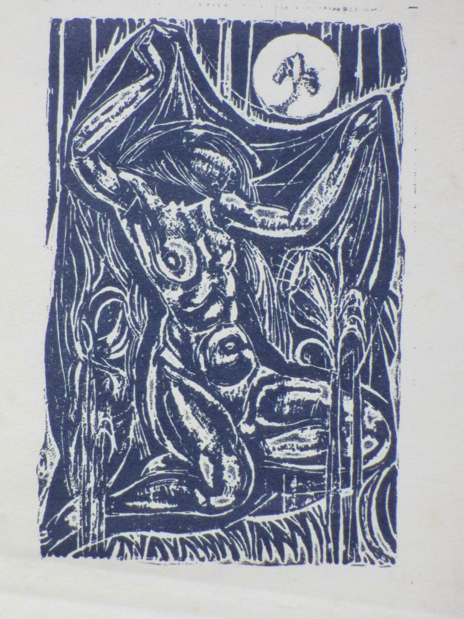 Johan Dijkstra - Naakt onder sluier - Houtsnede kopen? Bied vanaf 80!