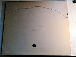 Theo Goedvriend - Knotwilgen in het landschap kopen? Bied vanaf 75!