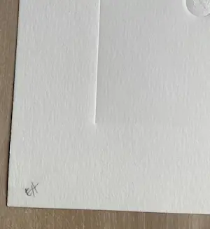 Jan Henderikse - Susie (coins american) kopen? Bied vanaf 350!