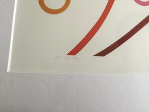 Donna Corbani - Bubbles | mooi ingelijste zeefdruk (8/130) - nieuwstaat kopen? Bied vanaf 35!