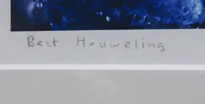 Bert Houweling - Foto, Iris 6 - Ingelijst kopen? Bied vanaf 1!