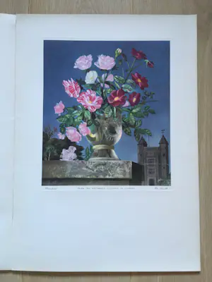 Eppo Doeve - Flower Prints from the Whitbread Calendar 1955 kopen? Bied vanaf 30!