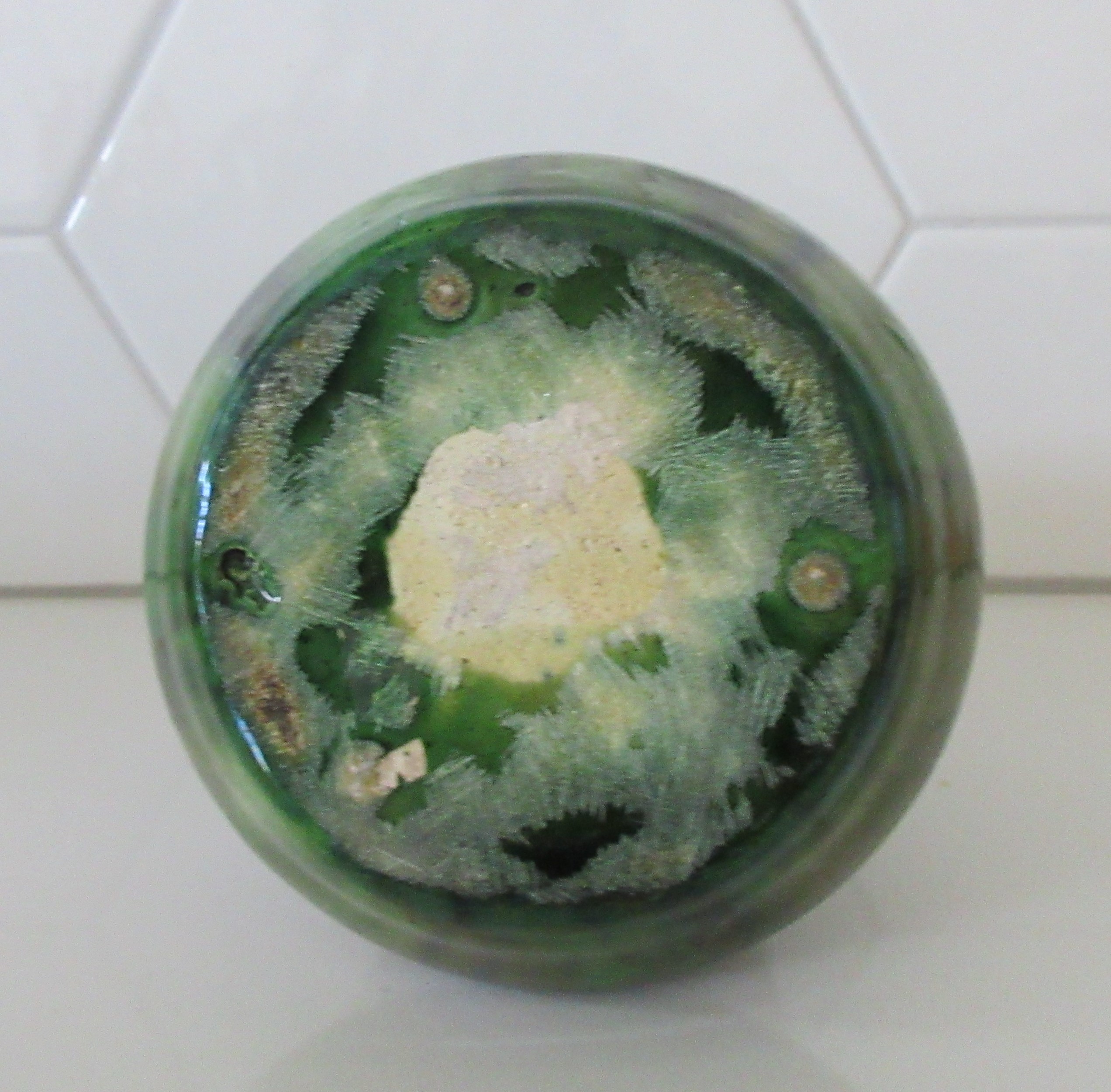 Niet of onleesbaar gesigneerd - Art nouveau Majolica vaas kopen? Bied vanaf 1!