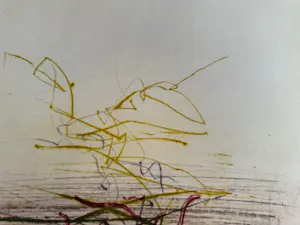 Arthur Stam - 3 vroege etsen kopen? Bied vanaf 70!