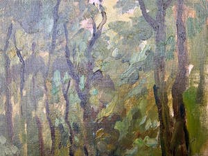 Felix Eyskens - Bospaadje kopen? Bied vanaf 19!