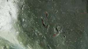 Ruudt Wackers - Beeld van papier maché, Paard kopen? Bied vanaf 200!