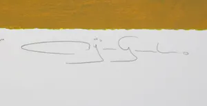 Gerard Bijnens - Zeefdruk, Tekens in tijdloze kleurvelden kopen? Bied vanaf 1!