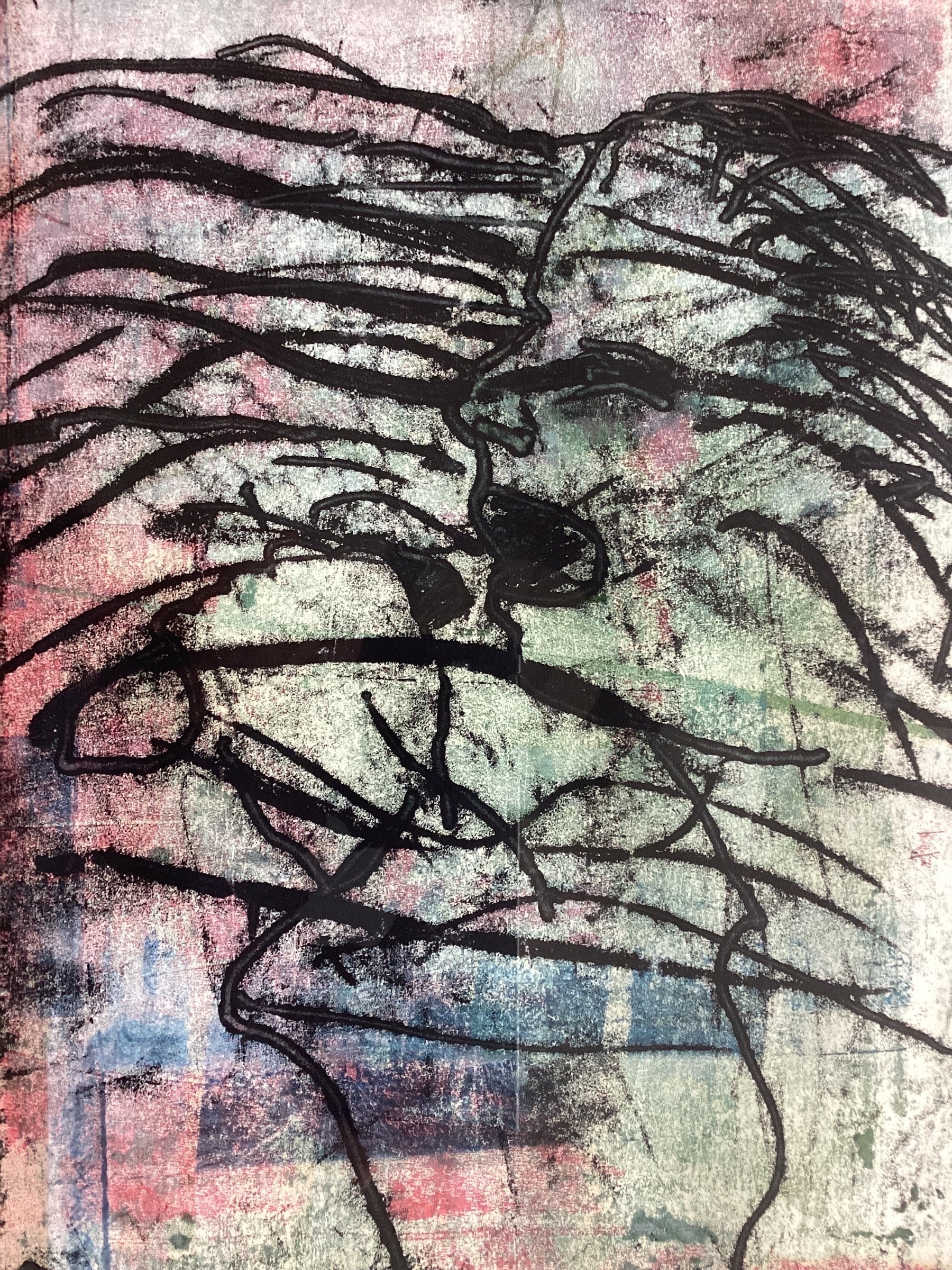 Sjer Jacobs - Monotype - in lijst kopen? Bied vanaf 119!