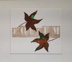 Els Maasson - Folium kopen? Bied vanaf 20!