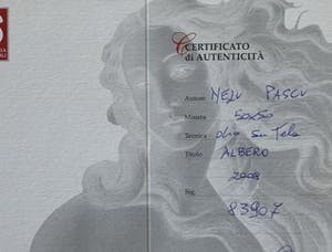 Nelu Pascu - Albero kopen? Bied vanaf 220!