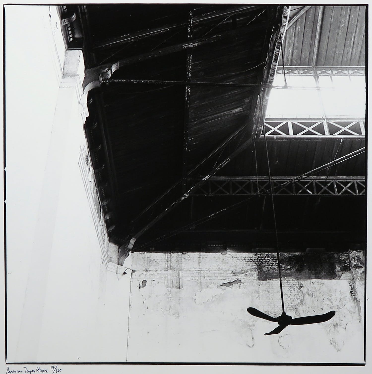 Bastiaan Ingen Housz (1959)