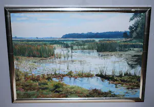 Simon Stolp - Het Naardermeer - groot olieverfschilderij - mooi ingelijst kopen? Bied vanaf 150!