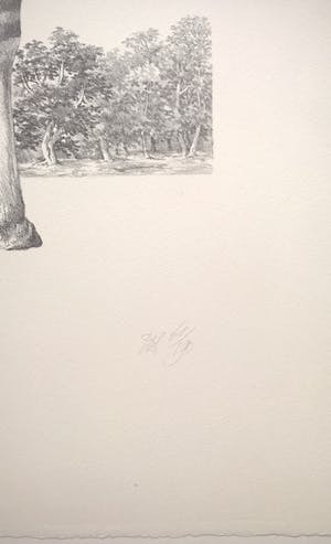 Peter Vos - Gevoelens - gesigneerde litho kopen? Bied vanaf 250!