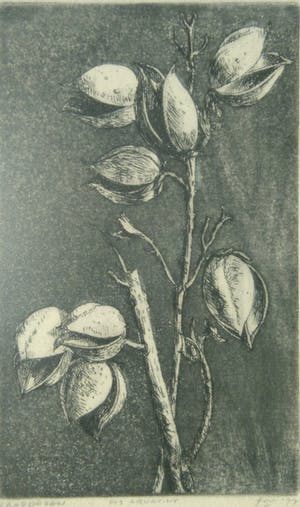 Niet of onleesbaar gesigneerd - Zaadhoezen Ets Aquatint 1977 kopen? Bied vanaf 10!