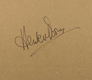 Henk van Doorn - Olieverf op board, ... meets skull - Ingelijst (Groot) kopen? Bied vanaf 100!