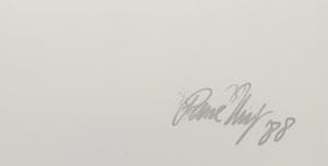 Paul Huf - C-print - 'Peonies' - 1988 (INGELIJST) kopen? Bied vanaf 150!