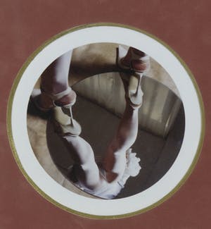 Cornelie Tollens - C-Print, Citron confit et du sucre candi - Ingelijst kopen? Bied vanaf 1!