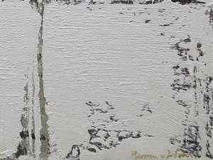 Harmen van der Tuin - Zonder titel (zeer groot) kopen? Bied vanaf 200!