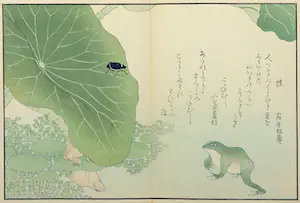Kitagawa Utamaro - Houtdruk, Vors en meikever bij blad van waterlelie kaufen? Bieten Sie von 35!