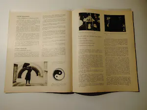 Pierre Alechinsky - Cobra 3, Bruxelles 1949 kopen? Bied vanaf 250!
