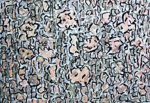 Jan Wolkers - zeefdruk: Winterbeelden V verkocht voor € 225!