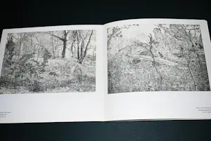 Reinder Homan - hardcover: etsen naar de natuur (schaars) & gids 1989 kopen? Bied vanaf 65!