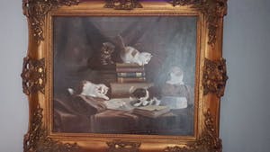 Jan Hovener - Poesjes kopen? Bied vanaf 500!