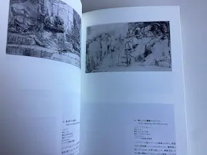 Rembrandt van Rijn - Etchings - boek kopen? Bied vanaf 50!