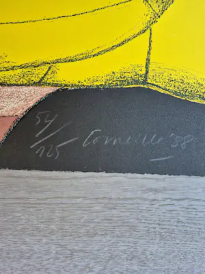 Corneille - litho 54/125 - gesigneerd - '89 kopen? Bied vanaf 295!
