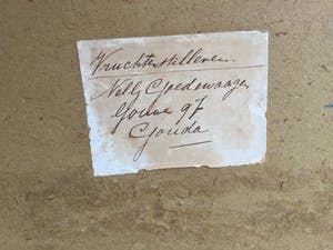 Nelly Goedewaagen - B2211, Vruchtenstilleven kopen? Bied vanaf 150!