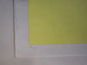 Rinke Nijburg - St20Se03 kopen? Bied vanaf 60!