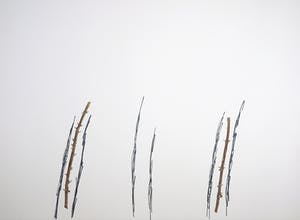 John van 't Slot - Gouache en stift, Doorntakken kopen? Bied vanaf 50!