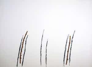 John van 't Slot - Gouache en stift, Doorntakken verkocht voor € 50!