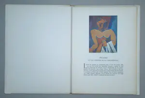 Pablo Picasso - Schatten van de Franse schilderkunst - 1948 - Portfolio met 16 kleurenprints kopen? Bied vanaf 150!