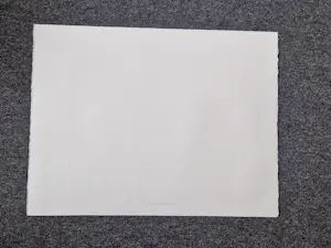 Ardi Brouwer - Fraaie polychrome zeefdruk "het huis van de verzamelaar" zeer kleine oplage! kaufen? Bieten Sie von 44!