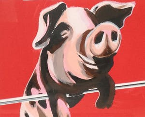 Casper Faassen - C4461-A3 - Varkentje kopen? Bied vanaf 75!