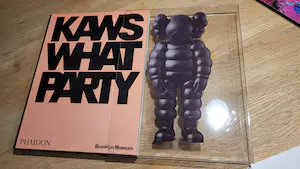 KAWS - What Party - Phaidon limited edition boek - Roze editie kopen? Bied vanaf 100!