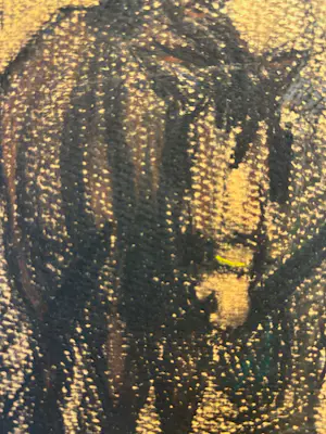 Wim van Woerkom - Twee paarden kopen? Bied vanaf 75!