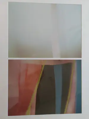 Wies Noest - Vledder kopen? Bied vanaf 40!