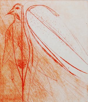 Ko Oosterkerk - "Vogelvrouwtje" kopen? Bied vanaf 75!