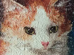 Niet of onleesbaar gesigneerd - Spelende katten kopen? Bied vanaf 10!