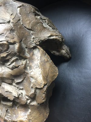 Kees Verkade - kapitale buste van Willem Steijn kopen? Bied vanaf 4750!