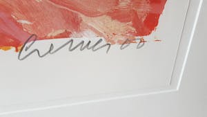 Jan Cremer - zeefdruk 117/150 (groot) - gesigneerd kopen? Bied vanaf 250!