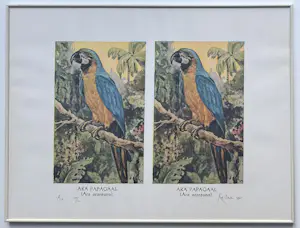 Rob Scholte - Handgesigneerde offset/zeefdruk | 'Ara' | 1992 kopen? Bied vanaf 150!