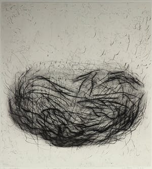 Caroline Serton - Lijnets & Pastel, Cerebri Anterior - Ingelijst kopen? Bied vanaf 150!